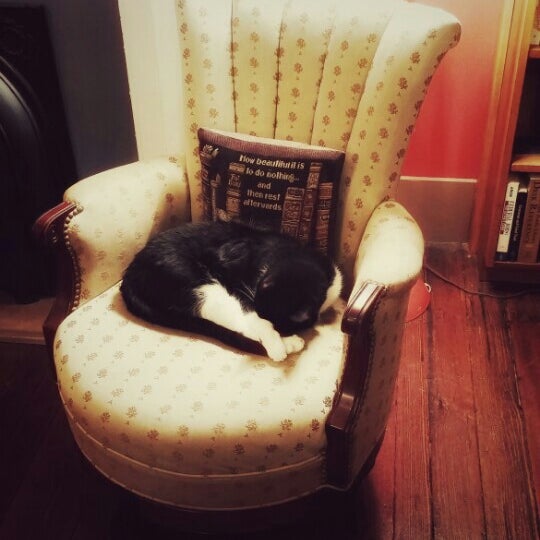 Village Lights Bookstore Used Bookstore in Madison