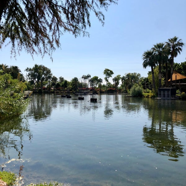 10/18/2020 tarihinde Sean M.ziyaretçi tarafından Phoenix Zoo'de çekilen fotoğraf