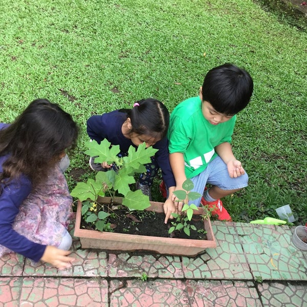 Medan International School Simalingkar 4 Tips