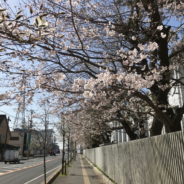 Photos At 千葉市立花園中学校 花見川区花園4 1 1 Photos At 千葉市立花園中学校 花見川区花園4 1 1