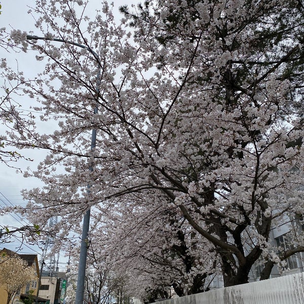 千葉市立花園中学校 花見川区花園4 1 1 千葉市立花園中学校 花見川区花園4 1 1