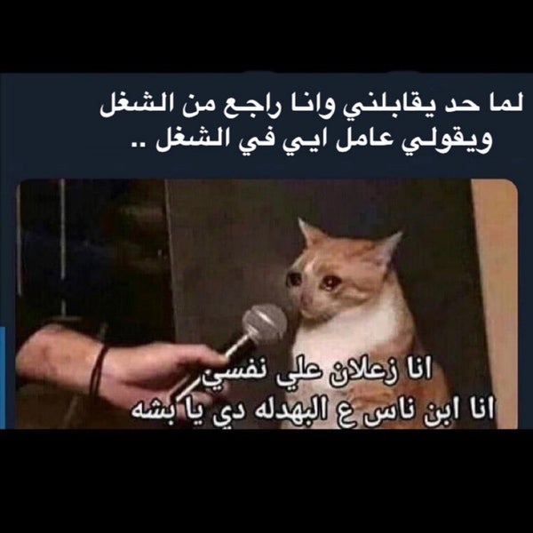 Dqm4