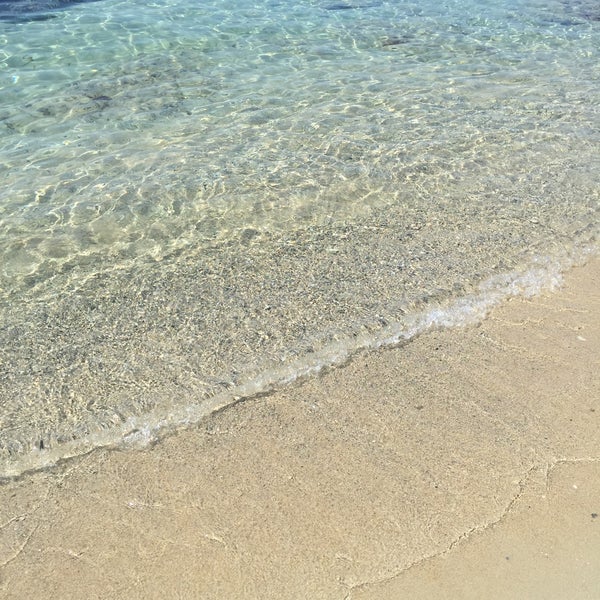 Pissa Koyu İzmir, İzmir