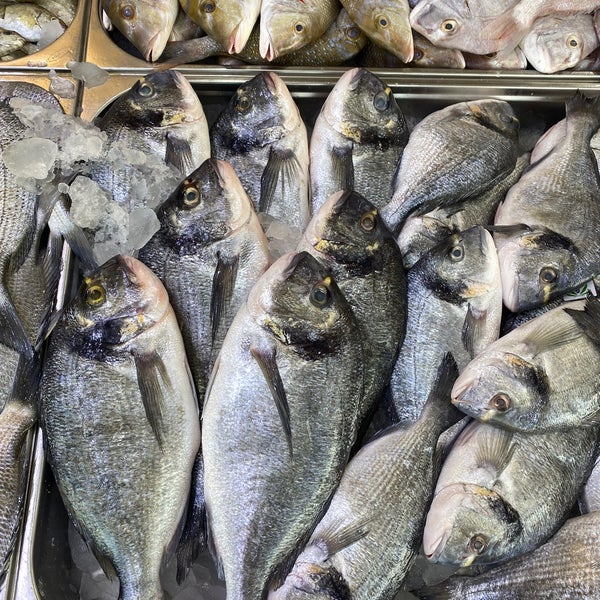 Photos at Qatif fish market Al Qaţīf, الشرقية