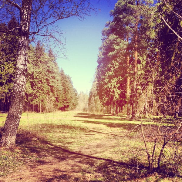 Зеленый бор ивантеевка. Станция зеленый бор. Зеленый бор ивантеевка. Станция зеленый бор ярославского направления. Зеленый бор ивантеевка.