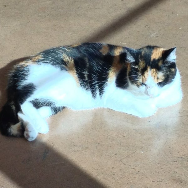 Photos at Soap Suds Coin Laundry 4211 N Main St