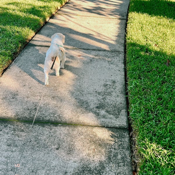 Mead Gardens Winter Park, FL