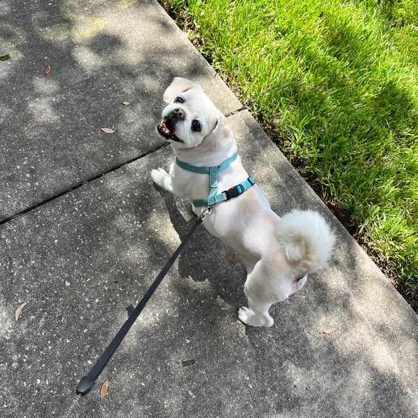 Mead Gardens Winter Park, FL