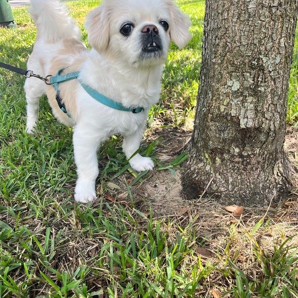 Mead Gardens Winter Park, FL