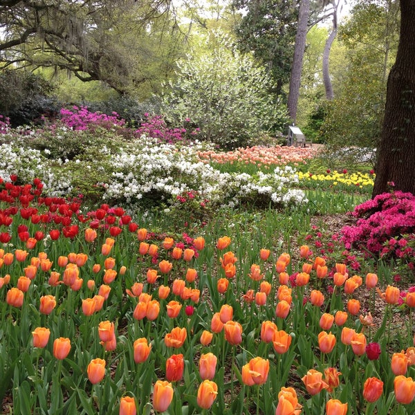 4/15/2013にDonna R.がAirlie Gardensで撮った写真