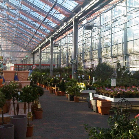 Augsburg Pflanzen Krefeld Variedadesdevidas Katia