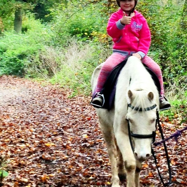 Jacks Riding Stables Ruislip 16 visitors