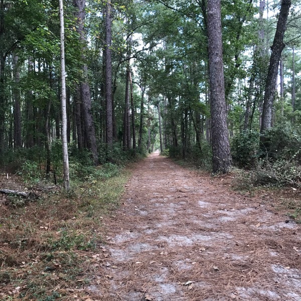 Hitchcock Woods (Dibble Rd. Entrance) Hiking Trail