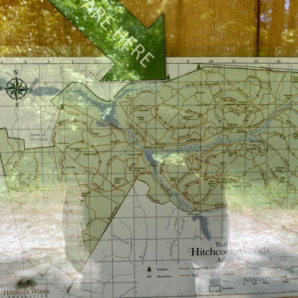 Hitchcock Woods (Dibble Rd. Entrance) Hiking Trail