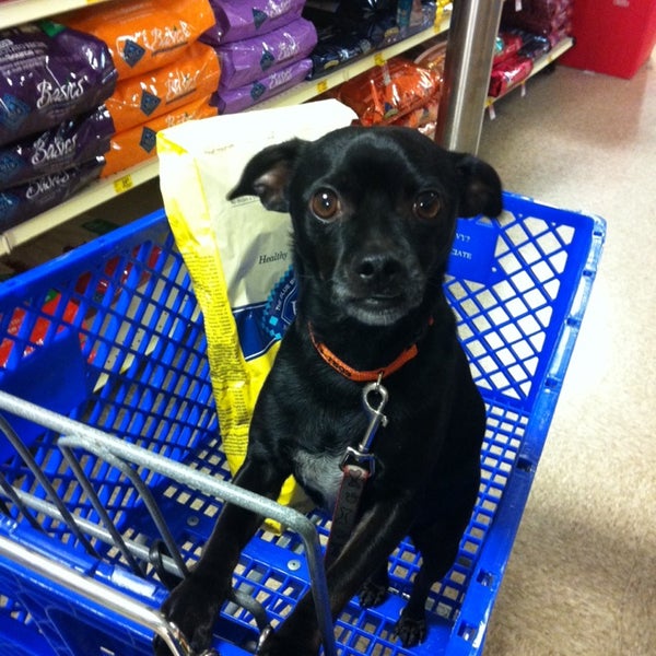 petsmart golden gate