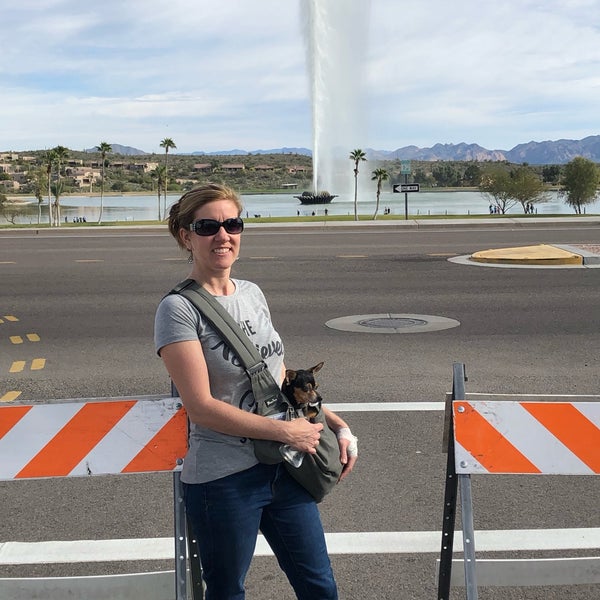 Fountain Hills Festival of The Arts 2 tips from 247 visitors