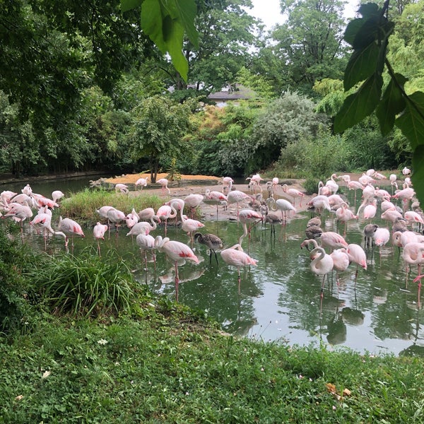 Photo taken at Zoo Basel by Faisal on 7/11/2019