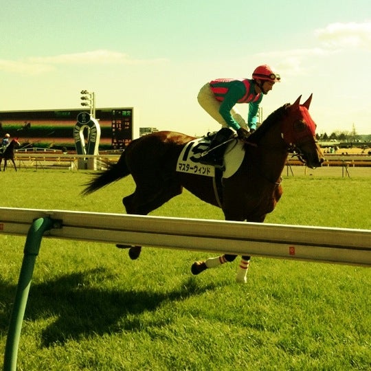 東京競馬場 西門 府中のレース場