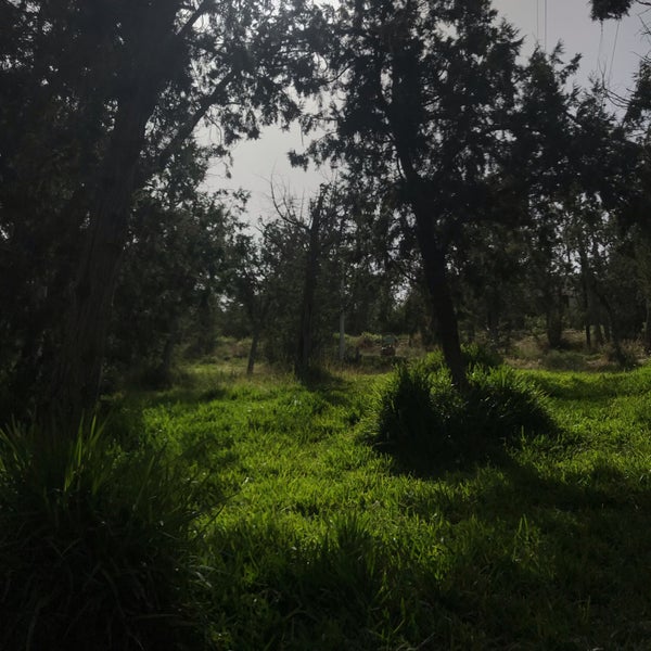 Photo taken at غابة رغدان by Remy A. on 6/29/2019