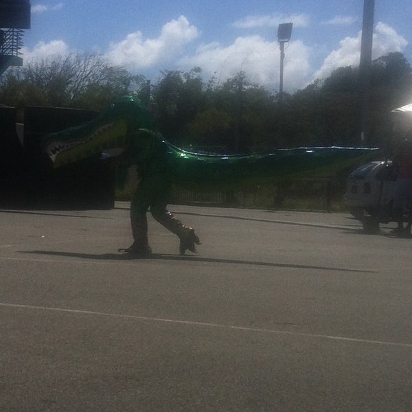 Cyd Gray Sporting Complex 1 tip