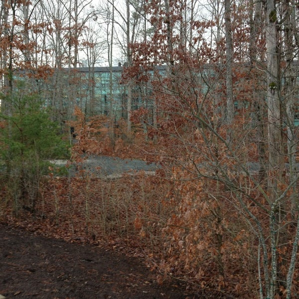 CarMax Home Office 3 tips from 251 visitors