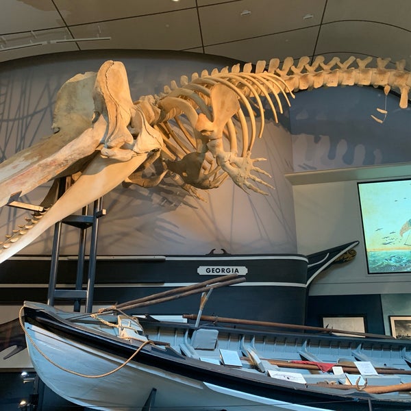 Снимок сделан в The Whaling Museum пользователем Dr.Nicole.C 8/17/2019