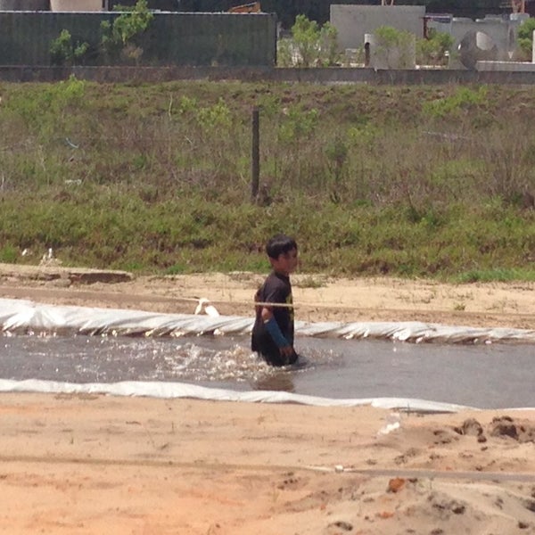 Coyote Mud Astatula, FL