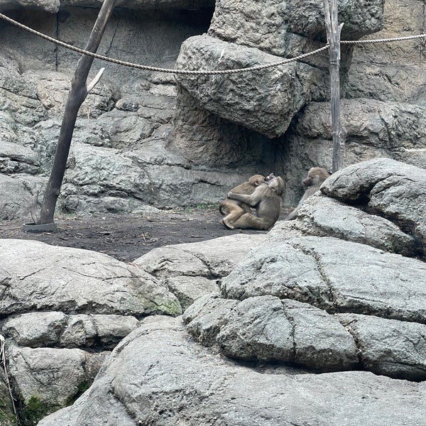 Photo taken at Prospect Park Zoo by michelle on 8/30/2021