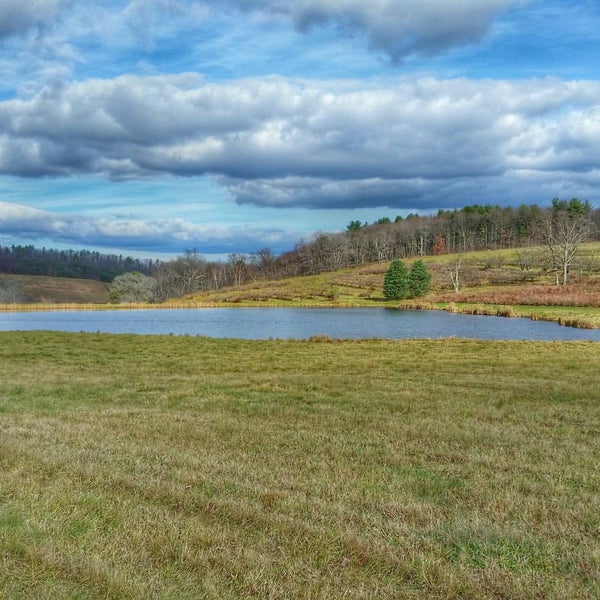 Brace's Orchard 444 Brace Rd