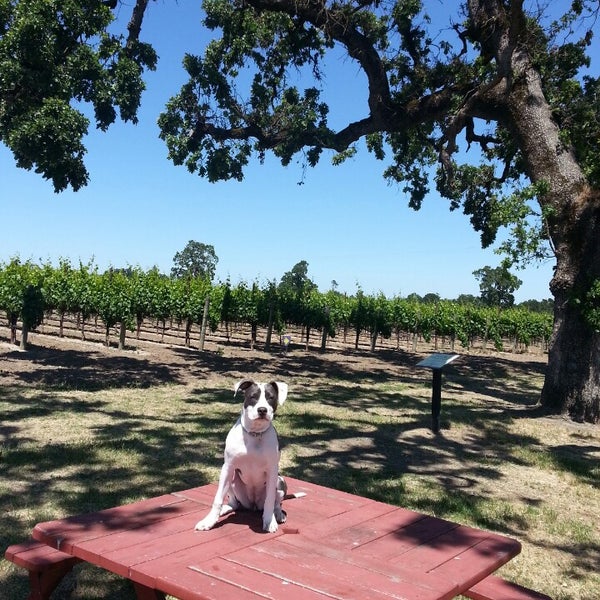 Photo taken at Balletto Vineyards &amp; Winery by Michael B. on 6/2/2013