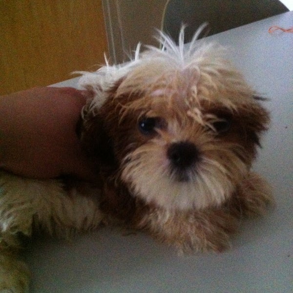 Pasir Ris Pet Farm Farm in Pasir Ris