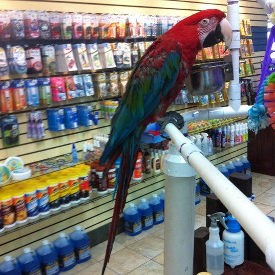 Paradise Car Wash 11 tips