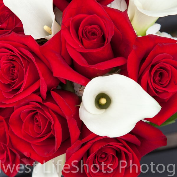 Sargents On Second Flower Store in Rochester