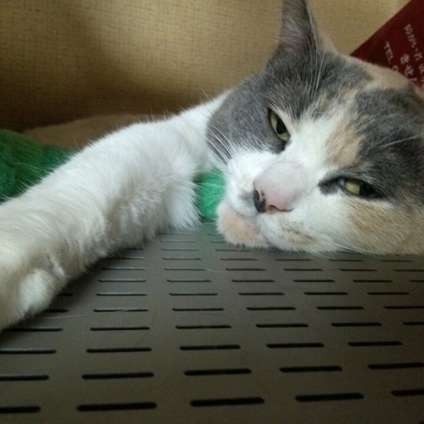 Photos At 飯田工房 Factory In 飯田市