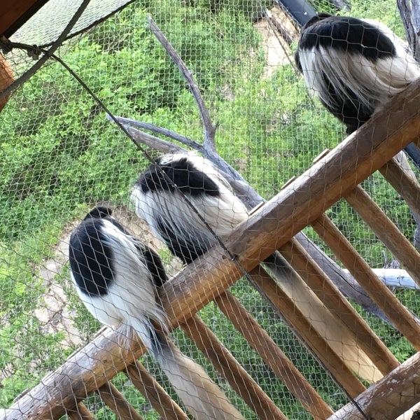 Das Foto wurde bei Cheyenne Mountain Zoo von Sarah T. am 6/23/2019 aufgenommen