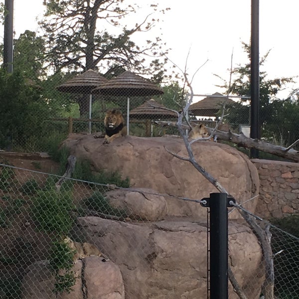 Снимок сделан в Cheyenne Mountain Zoo пользователем Sarah T. 6/23/2019