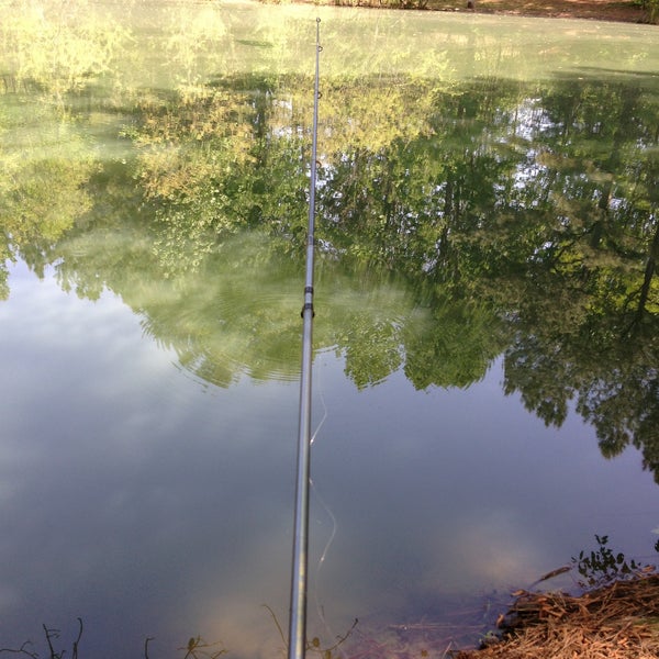 Cedar Hills Disc Golf Course Raleigh, NC