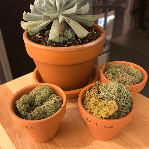 J. Christopher Salon West Village 6 tips from 179 visitors