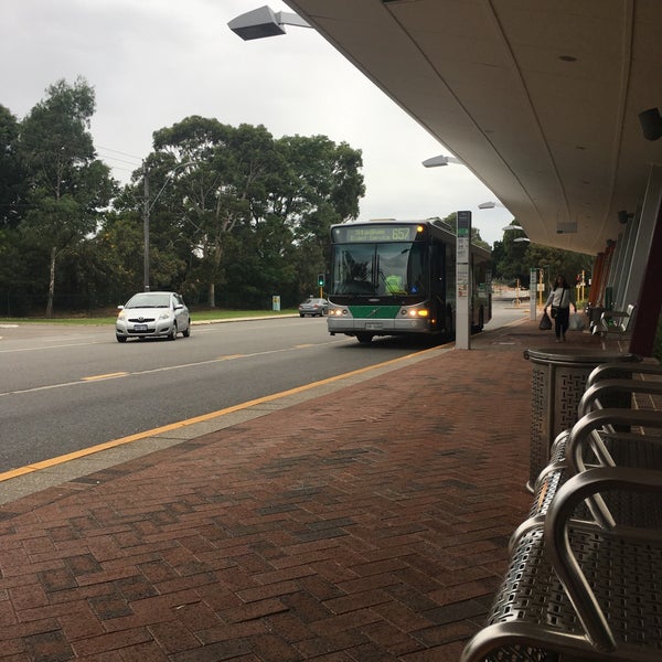 University Bus
