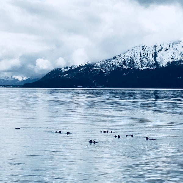 Photo prise au Stan Stephens Glacier &amp; Wildlife Cruises par Kata 🦙 le5/13/2018