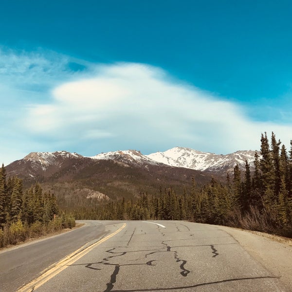 Hap Denali National Park Summer