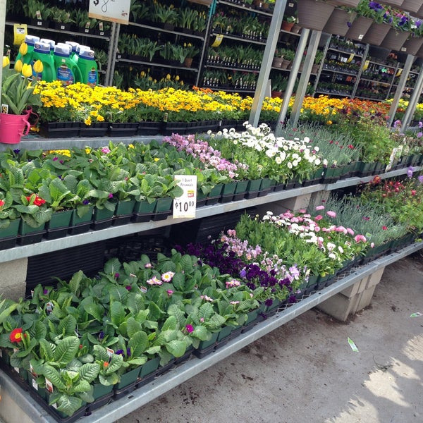 The Home Depot 4 consigli