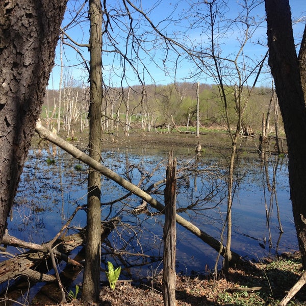 Woodbourne Park Field in Sussex