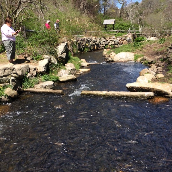 Herring Run 3 tips from 118 visitors