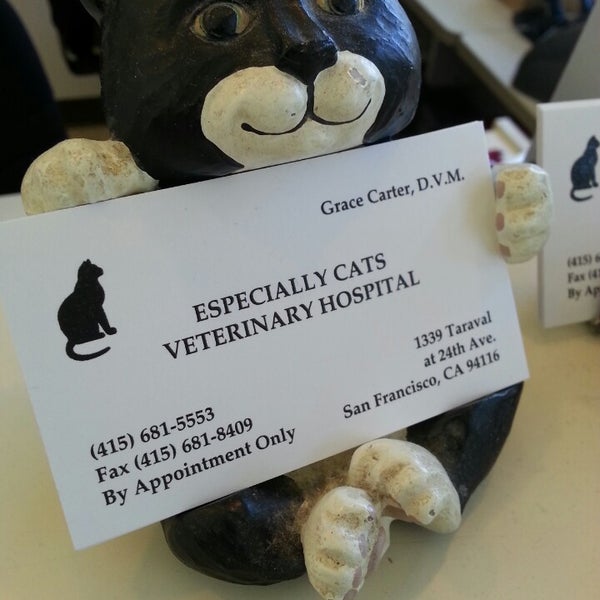 Foto tirada no(a) Especially Cats Veterinary Hospital por Mr T. em 5/18/2013
