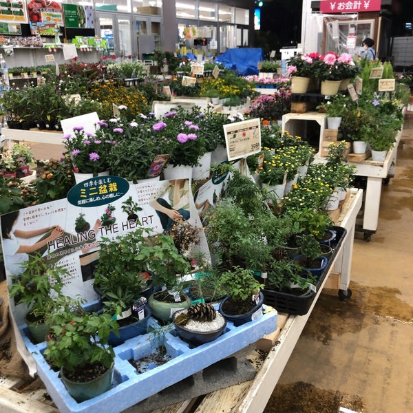 Photos At 島忠ホームズ 中野本店 中野区 東京都
