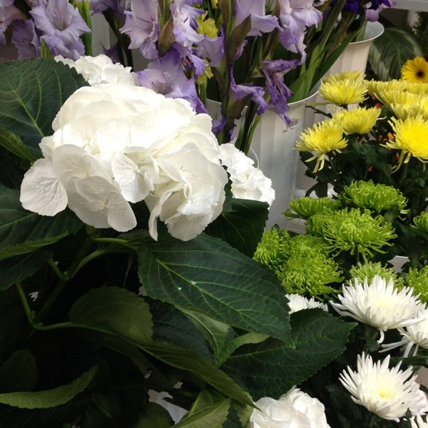 Цветы жулебино. 1, москва. Заказать букет с доставкой в спб 5cvetov 88124080745. Цветы жулебино. Городская база цветов брехово.