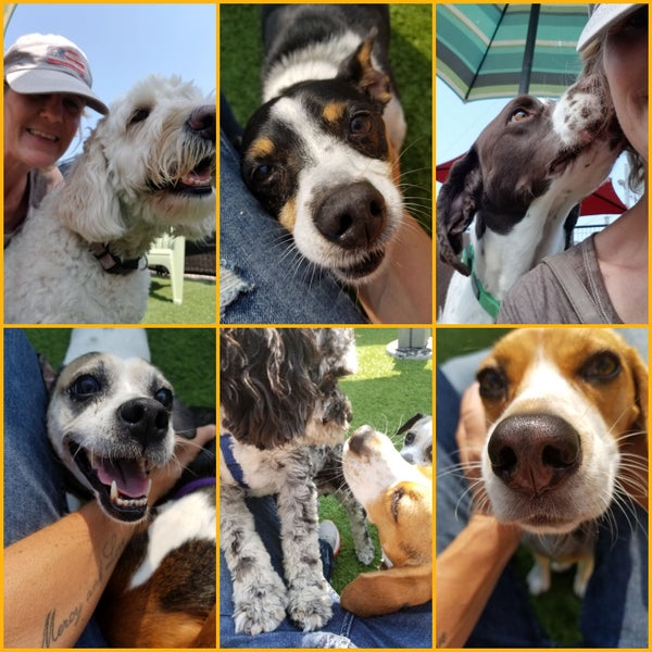 River's Edge Boarding and Grooming Pet Service