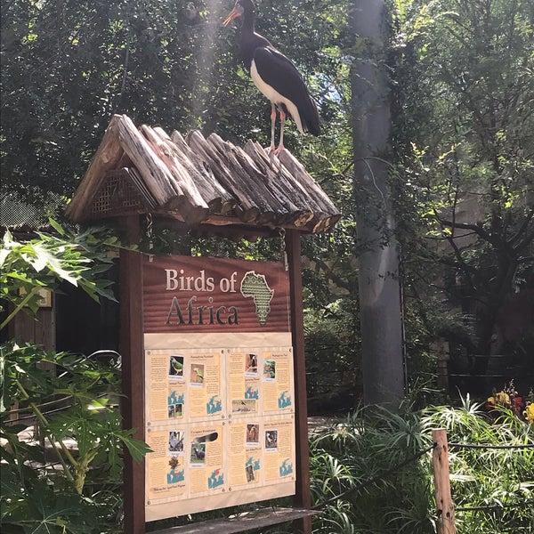 Снимок сделан в San Antonio Zoo пользователем Demi R. 7/11/2019