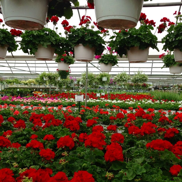 TLC Nursery and Greenhouses 2 tips